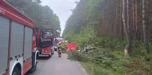 Tragiczny wypadek w Lubelskiem. Auto zderzyło się z łosiem. Nie żyją dwie osoby