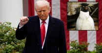 Wojna celna Donalda Trumpa. Nie odpuścił nawet pingwinom. Jednak to "kraj, o którym nikt nie słyszał" ma oberwać najmocniej