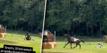 Śmierć na oczach widzów. Ostatni skok Tarastro w Strzegomiu