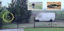 Zastrzelił bażanta siedzącego na ogrodzeniu opuszczonej posesji. Miał pecha. Film