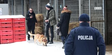 Koniec "Happy Doga". Ostatni pies opuścił schronisko w Sobolewie. Te obrazki poruszają do głębi