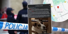Zwykły spacer zamienił się w horror. Mały Leoś zagryziony, właścicielka ranna