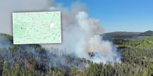 Czescy strażacy walczą z gigantycznym pożarem. To blisko naszej granicy