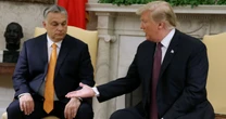 Jak Viktor Orban i Donald Trump chcą zakończyć wojnę w Ukrainie. "Mam do niego duże zaufanie"