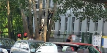 Dziwne zdarzenie przed Urzędem ds. Cudzoziemców. Mężczyzna wszedł na drzewo