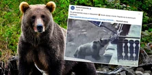 Zakradł się pod dom i czegoś szukał. Nagranie z Zakopanego mrozi krew w żyłach
