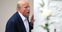 Rozłam w ruchu MAGA w sprawie Izraela. Wpływowi Republikanie wywierają presję na Donalda Trumpa. "Ludobójstwo"