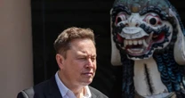 Elon Musk przekazał darowiznę na kampanię wyborczą Donalda Trumpa