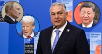 Viktor Orban gra na trzy fronty. Przyjaźni się z Trumpem i Putinem, ale to Xi Jinpingowi otworzył bramę do UE