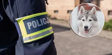 Ukrył zwłoki w mieszkaniu i przychodził tam karmić psa swojej ofiary