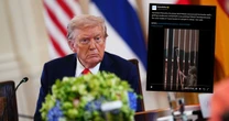 Donald Trump kazał pomalować płot na granicy z Meksykiem. Taki ma sposób na walkę z imigrantami