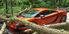 Masakra! Drzewo spadło na lamborghini warte fortunę