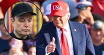 "Elon w końcu się obudził": Musk walczy o ocalenie Tesli przed Trumpem