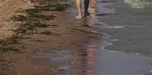 Zakaz kąpieli nad Bałtykiem. GIS zamknął kolejne plaże przez sinice. Eksperci ostrzegają