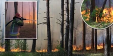 Ogromny pożar pod Warszawą. Strażacy wciąż walczą z żywiołem, nowe informacje