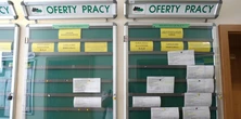 Szukają Polek do pracy. Płacą nawet 40 tys. zł miesięcznie i dają darmowe zakwaterowanie
