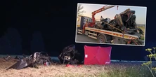 Nie żyje 19-latka, 20-letni kierowca walczy o życie. Nocny dramat na drodze