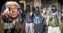 Odrodzenie Al-Kaidy. Co zrobi Donald Trump? Ekspert przewiduje, że zdecyduje się na taktykę "koszenia trawy"