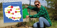 Sprzedaż ogródków ruszyła lawinowo. Nikt nie chce ryzykować przez nowe prawo