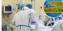 Ekstremalnie groźna dżuma powróciła? Turysta miał zarazić się od pchły na kempingu
