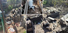 Przykry widok na podwórzu. "Dobrego człowieka to przerosło"