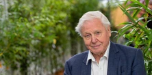 "Muszę przyznać, że nie myślałem, że kiedykolwiek nim będę". David Attenborough zdradza sekret swojej długowieczności. Na talerzu unika tego jak ognia