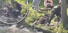 Bóbr pogryzł 8-latka. Miał wściekliznę. Sieć obiegło dramatyczne nagranie