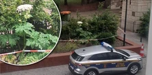 Kusi wyglądem w samym sercu Łodzi. Ten "kwiat" lepiej omijać szeroko