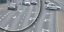 Chwile grozy w Legnicy. Pies uciekł właścicielowi i wbiegł na ruchliwą ulicę