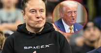 Elon Musk chce wysadzić Donalda Trumpa z siodła. Jego ryzykowny plan na zniszczenie systemu może się powieść. "Nie ma nic do stracenia"