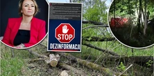 Śmierć 13-letniego Mikołaja. Wójt gminy apeluje. "Znam tych ludzi"