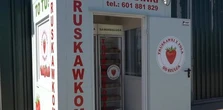 Truskawki prosto z pola o każdej porze dnia i nocy. Truskawkomat w Kłodzie robi furorę