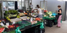 Polacy kochają to warzywo. Teraz za kilogram płacą dwa razy więcej