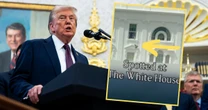 Nagranie z oknem Białego Domu obiegło sieć. Donald Trump reaguje. "Nie można"