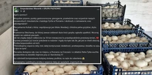 Rodzinna pieczarkarnia stanęła na krawędzi. W sieci dramatyczny apel, ale pomogło coś zupełnie innego