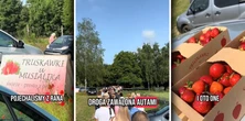 Stali w kolejce dwie godziny po truskawki. Internauci są oburzeni. "Atrakcja dla Warszawiaków"