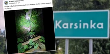 Puma z Karsinki wciąż na wolności. Nagranie myśliwego nie pozostawia wątpliwości