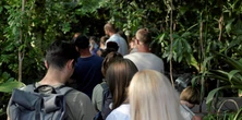Kolejki we Wrocławiu aż do później nocy. Potem znów otwarte od 5. Zaskakujące, że chcą to poczuć