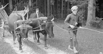 "Targi niewolników" w przedwojennej Warszawie. Koszmarne relacje