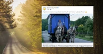 60-letni Duńczyk podróżuje po Polsce powozem konnym. Tak mówi o Polakach. "Bardzo mnie zaskoczyli"
