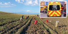 Tragedia Polaka w Belgii. Pracownik sezonowy zmarł na polu. Winny upał?