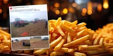 Ziemniaczany dramat na Podkarpaciu. Rolnik wysypał 150 ton. "Bierzcie za darmo!"