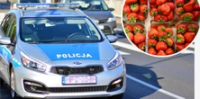 Afera z truskawkami na pół Polski. Nagrała ją kamera. "Przepisy są, jakie są"