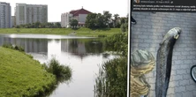 Znamy koniec historii suma z jeziorka Balaton w Warszawie. "Happy end"