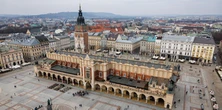 Nietypowe zaginięcie w Krakowie. Opiekun oferuje nagrodę za pomoc w odnalezieniu Siwej