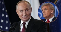 "Rozłożyłem ci czerwony dywan, a ty mnie zdradziłeś". Sojusz Putina i Trumpa to tykająca bomba. Ekspert: nie dajmy się zwieść