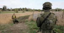 Straż Graniczna zaostrza zasady deportacji. Wykreśliła siedem krajów z listy