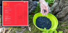 Płacą nawet 10 tys. zł miesięcznie. 12 miejsc, w których latem zarobisz najwięcej