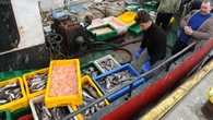 Zrównoważone rybołówstwo w UE.  Odpowiedź na kryzys oceanów i wyzwania globalne