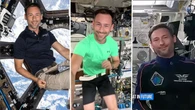 Polak jednak nie poleciał w kosmos? Zagadka statycznej musztardy